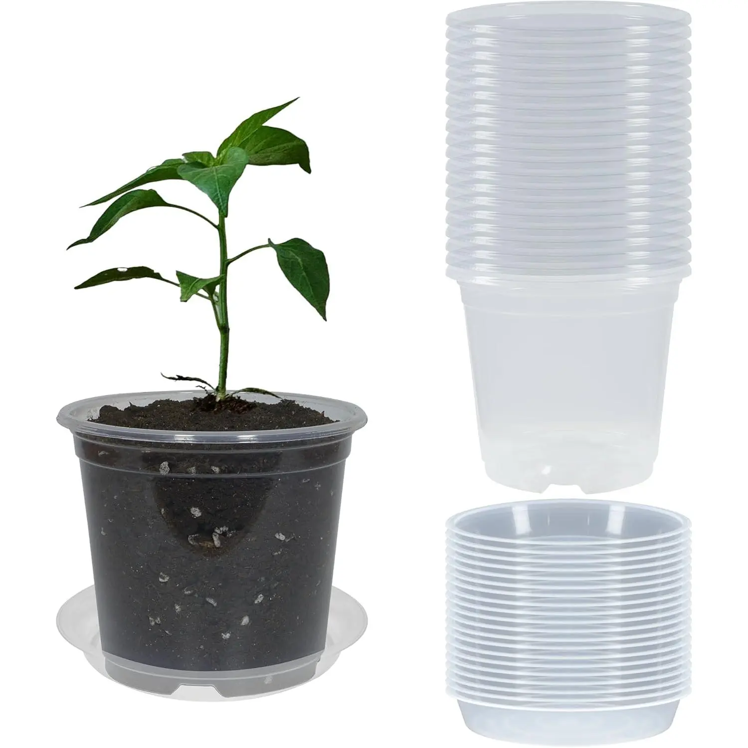 20 Pack 4 Inch Clear  Pots with Drainage and 20 Pack  Saucers,  Pots for  Transparent Potting Containers for  Seeding Starter Pot (Clear, 4 Inch)