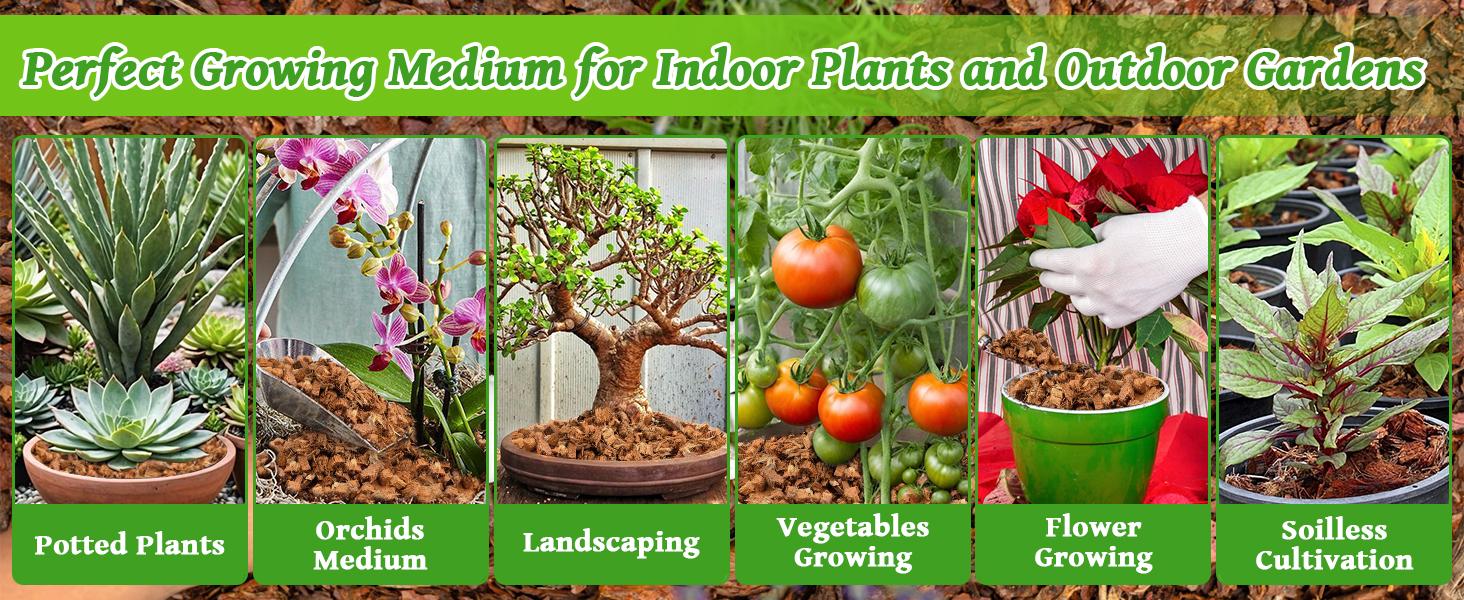 2 Pack Coco Chips Substrate for Plants- 2.2lb 100% Organic Husk Brick with Low EC and pH Balanced, High Expansion Substrate Coco Husk Mulch for Flowers, Herbs, Planting