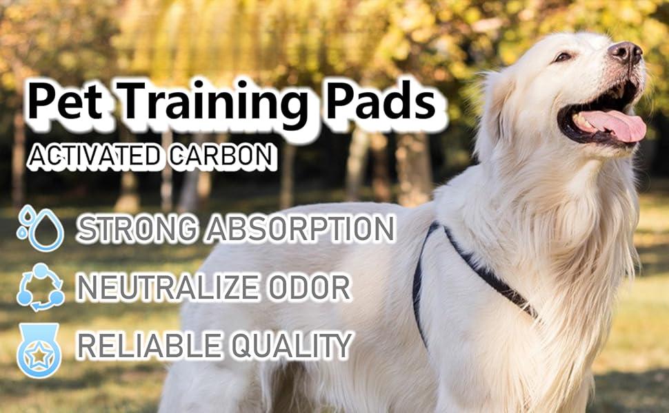 Charcoal Dog Pee Pads Extra Large 24"x36", Puppy Pads XL 40Count, Potty Pads for Dogs, Disposable Urine Bed Pads for Odor-Control, X-Large Piddle Underpads, Training Liners for Housebreaking
