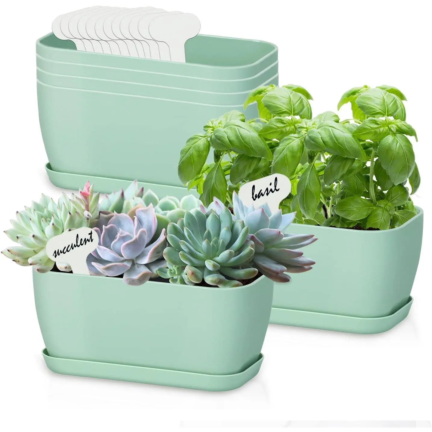 6 Set Window  Planter Box Rectangular, Green Plastic Planters with Multiple Drainage Holes and Trays,Indoor Succulent Cactus Mint Flower Pot for Windowsill, Garden Balcony