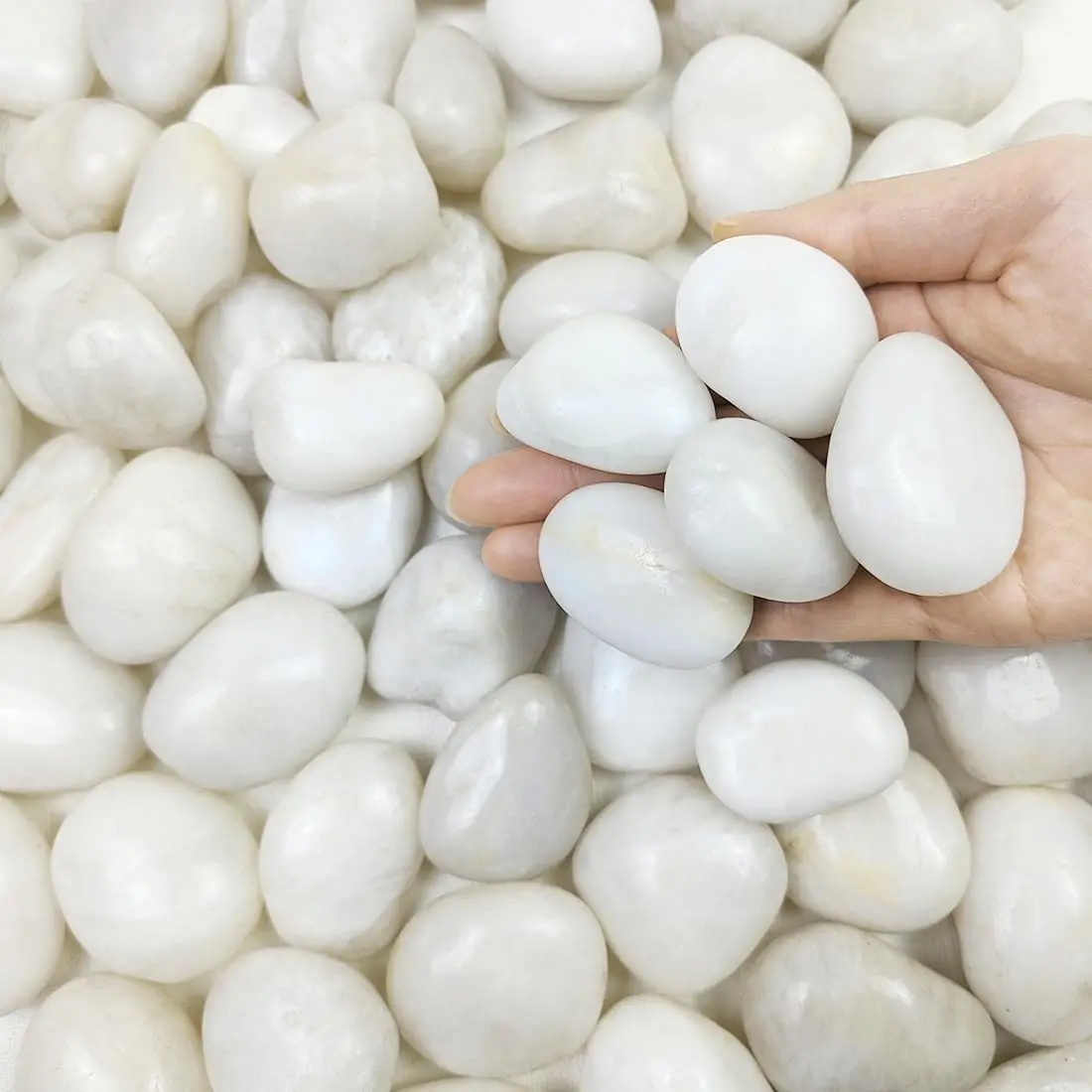 2 lbs Polished White Round River Rocks - 1-2 Inch Smooth Surface Decorative Stones for Potted Vases Fillers, Fish Tank Landscaping and Outdoor Garden Decor, Room Decor