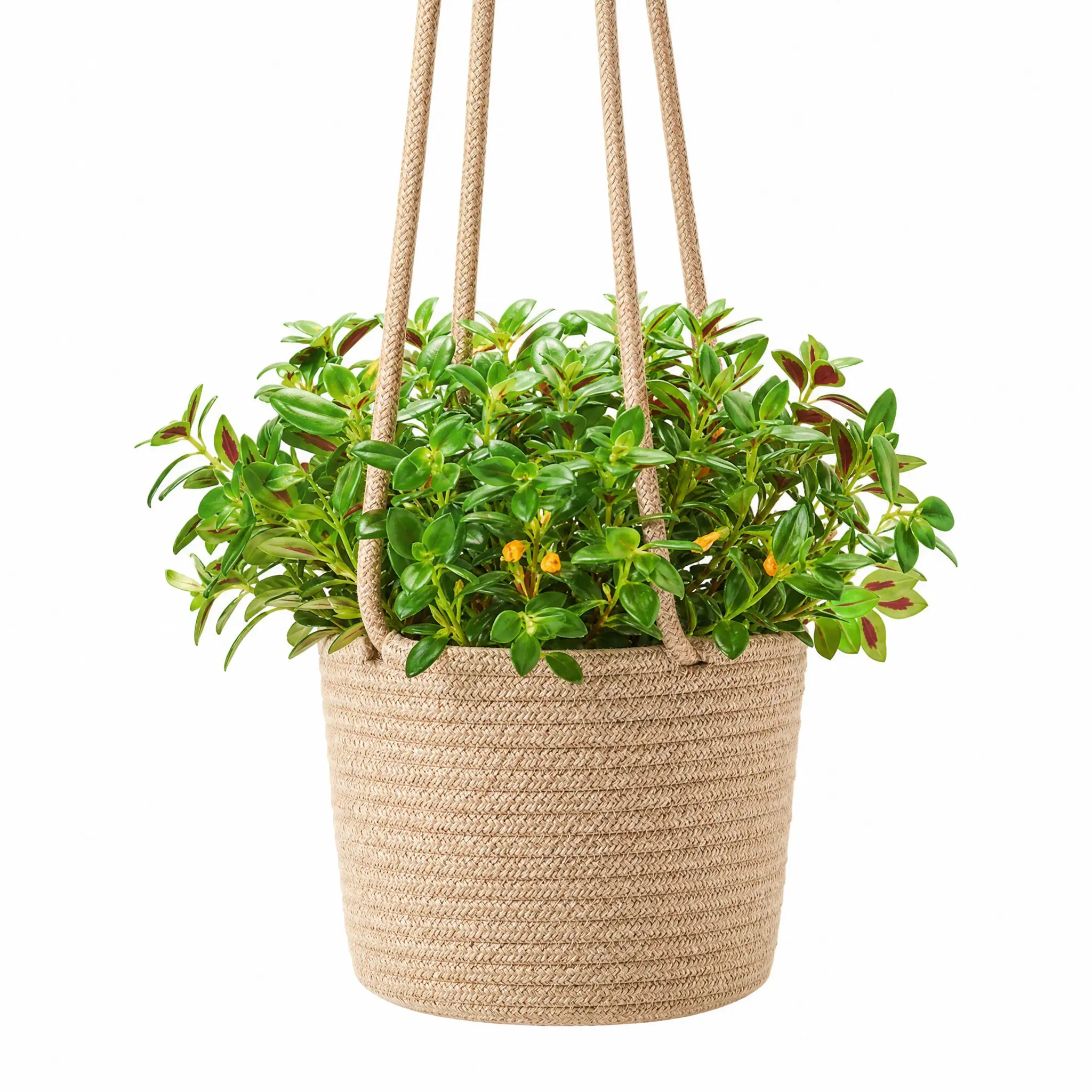 Scandinavian Style Hanging Flower Basket, Woven Cotton Rope Planter Rack, Wall Storage Organizer, Cozy Home Decor