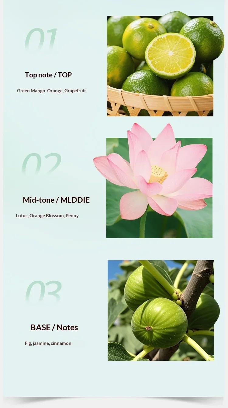 Long Lasting Fragrance for Women Men 100ml Eau De Parfum Classic Fresh Scent Daily Use Perfume High Quality Fast Shipping