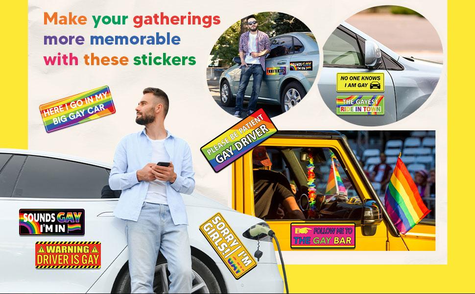 12 Pcs Gay Pride Funny Magnet Bumper Sticker LGBT Rainbow Pride Prank Magnetic Sign for Vehicle Truck Reusable Magnet Sticker for Fridge(Classic)