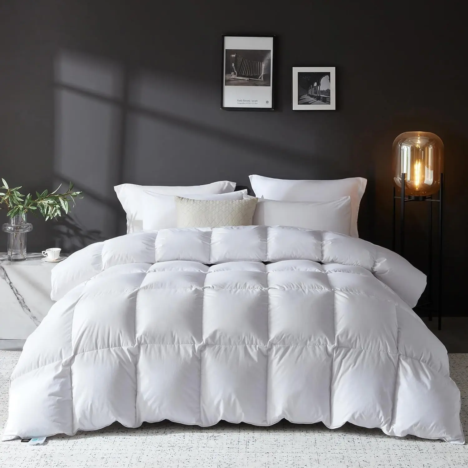 Goose Feather Down Fiber Comforter Queen Size, 100% Organic Cotton Fabric Duvet Insert,1200TC,750+Fill Power, Hotel Collection, All Season White Bedding Comforters with 8 Tabs
