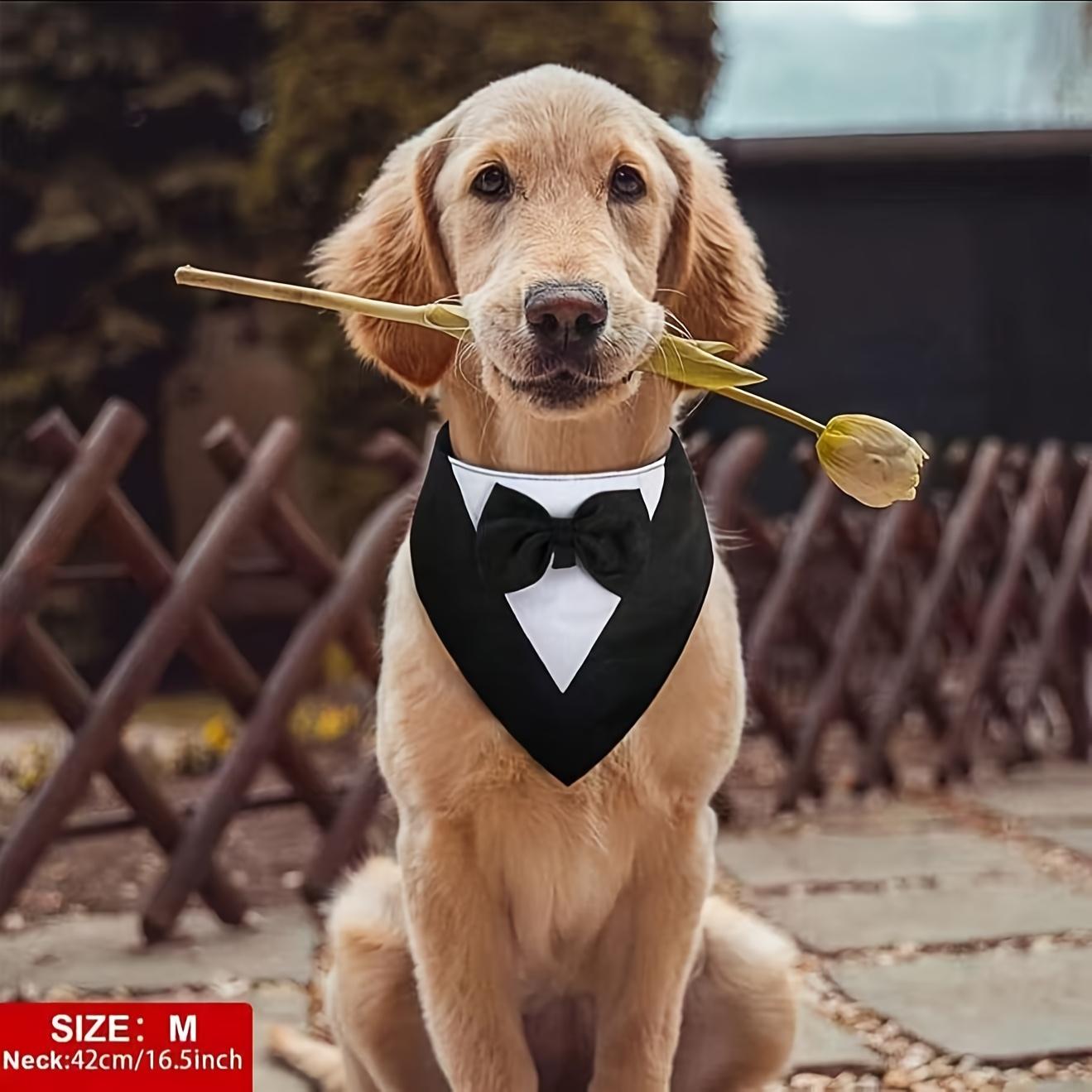 1pc Dog Tuxedo, Formal Dog Wedding Bandana, Dog Collar with Bow Tie, Dog Birthday Outfit, Adjustable Pet Party Tuxedo Dog Wedding Suit, Dress, Dog Birthday Dress, Adjustable Pet Dog Valentine'S Day Costume