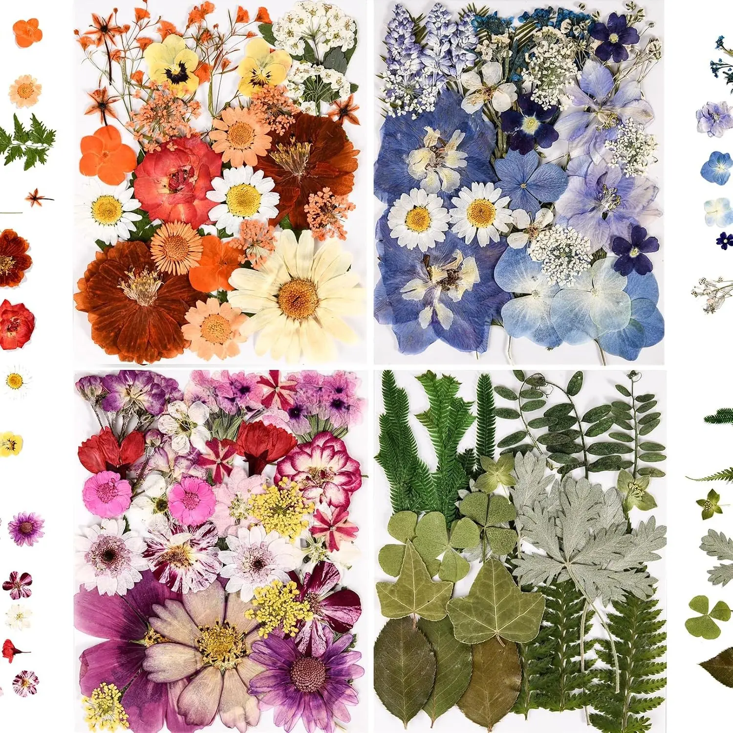 110+ Pcs Dried Pressed Flowers for Resin Crafts Colorful