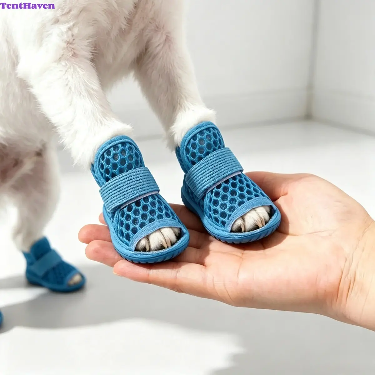 Breathable Dog Shoes for Small Dogs & Puppies, Summer Mesh Pet Sandals with Secure Elastic Straps, Lightweight Paw Protector Boots for Outdoor Walking, Beach Trips, Travel and Daily Strolls tiktokshopbacktoschool