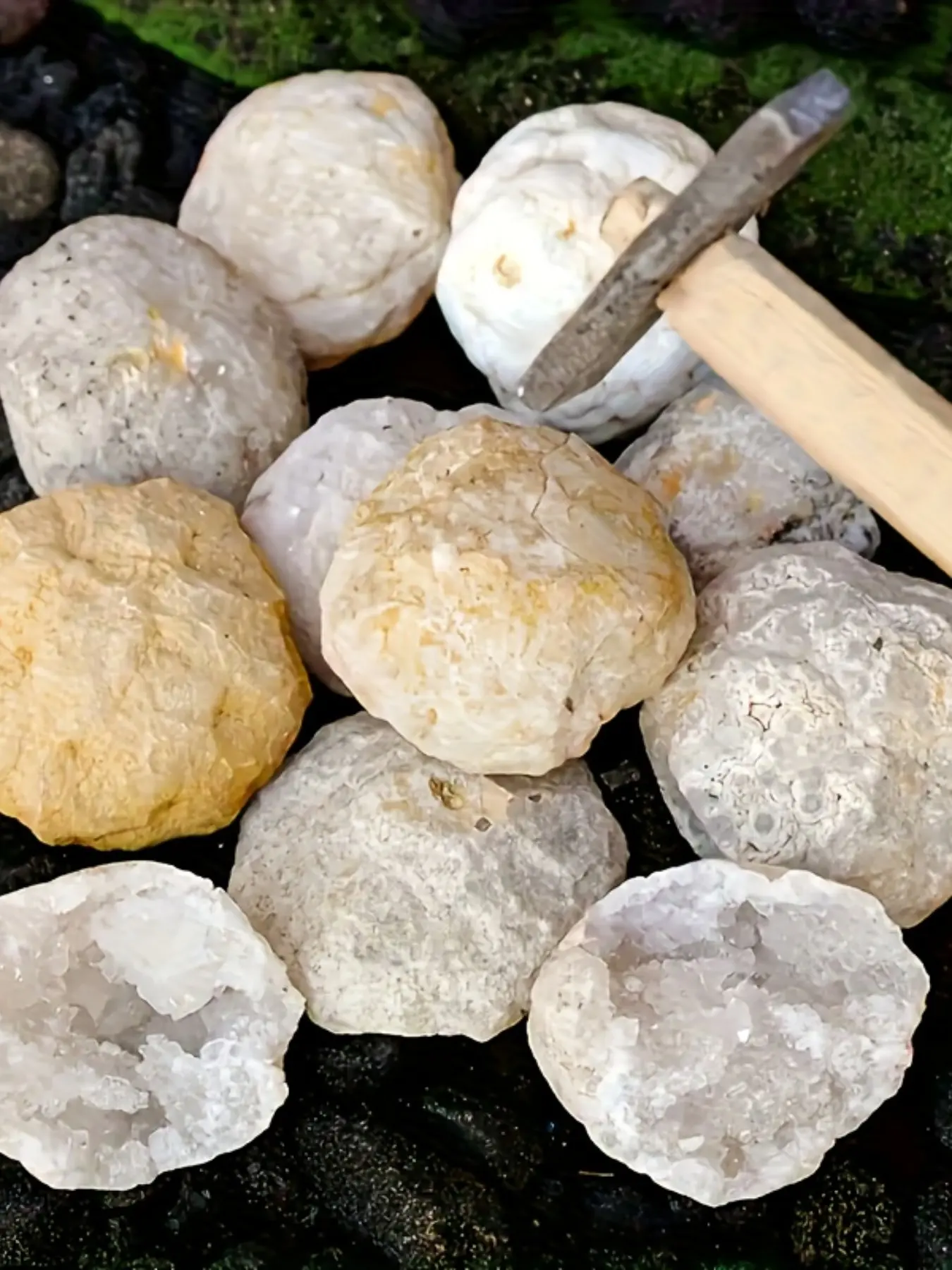 Large DIY Agate Geode Kit, Cut Your Own Geode, Discover Amazing Crystals, Unique Crystal Gift, Unmined Quartz Specimen, Bohemian Style