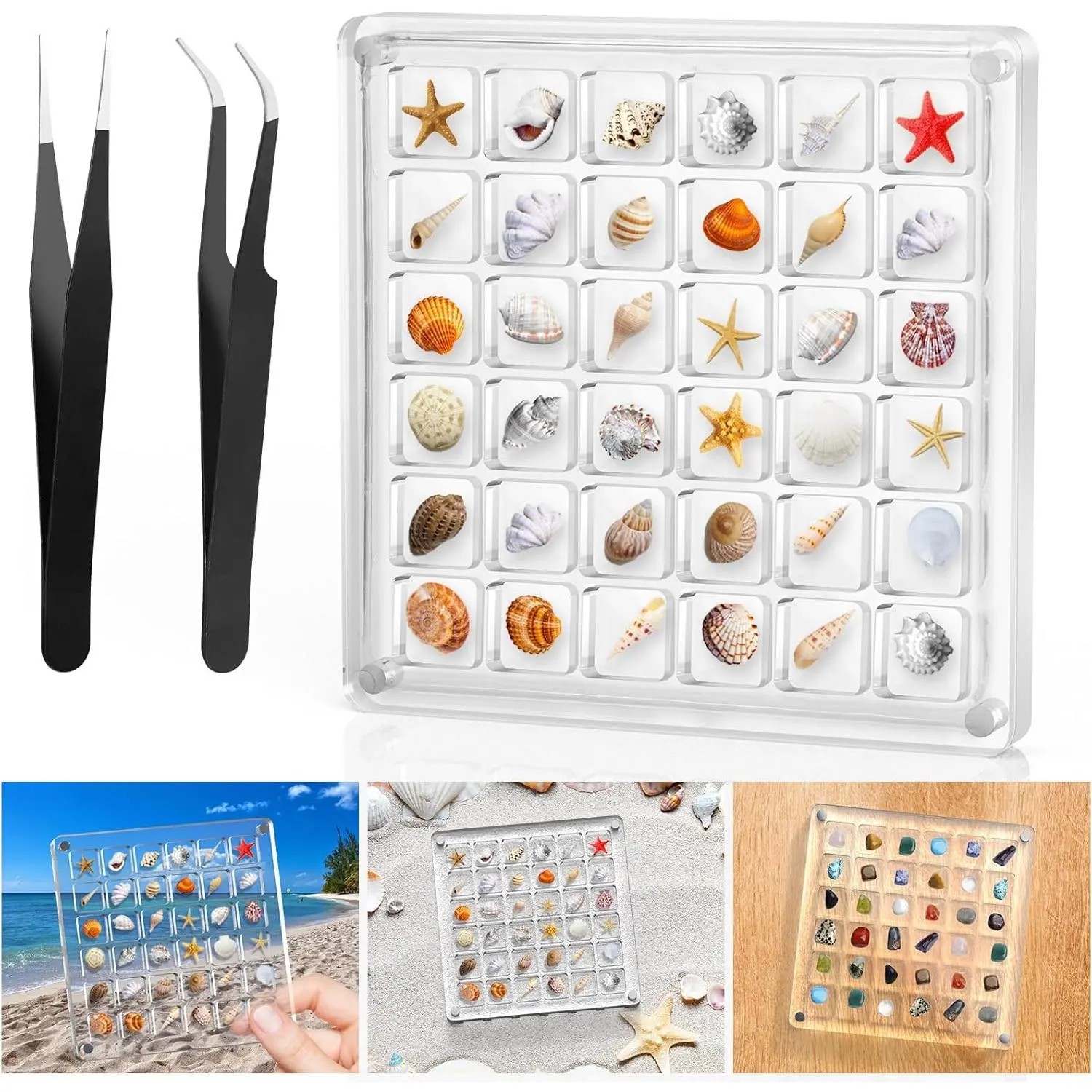 Seashell Display Box,Clear Sea Shell Display Box,Beach  Storage Organizer Case for Seashell  Beads,36 Grids,Transparent,1 Pack