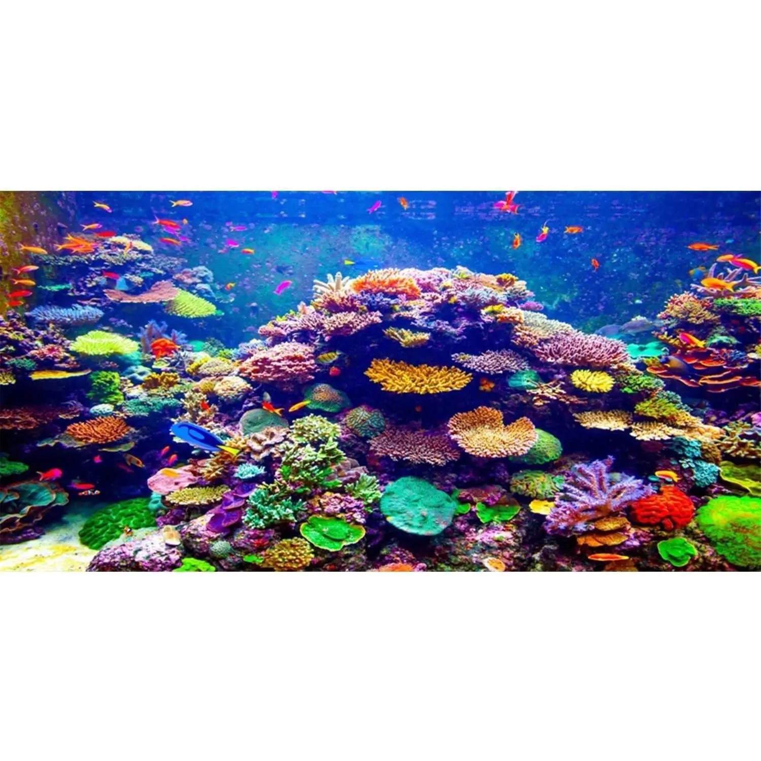 Undersea Theme Aquarium Background 48x24 inches Vinyl Colorful Coral Tropical Fish Underwater World Fish Tank Background