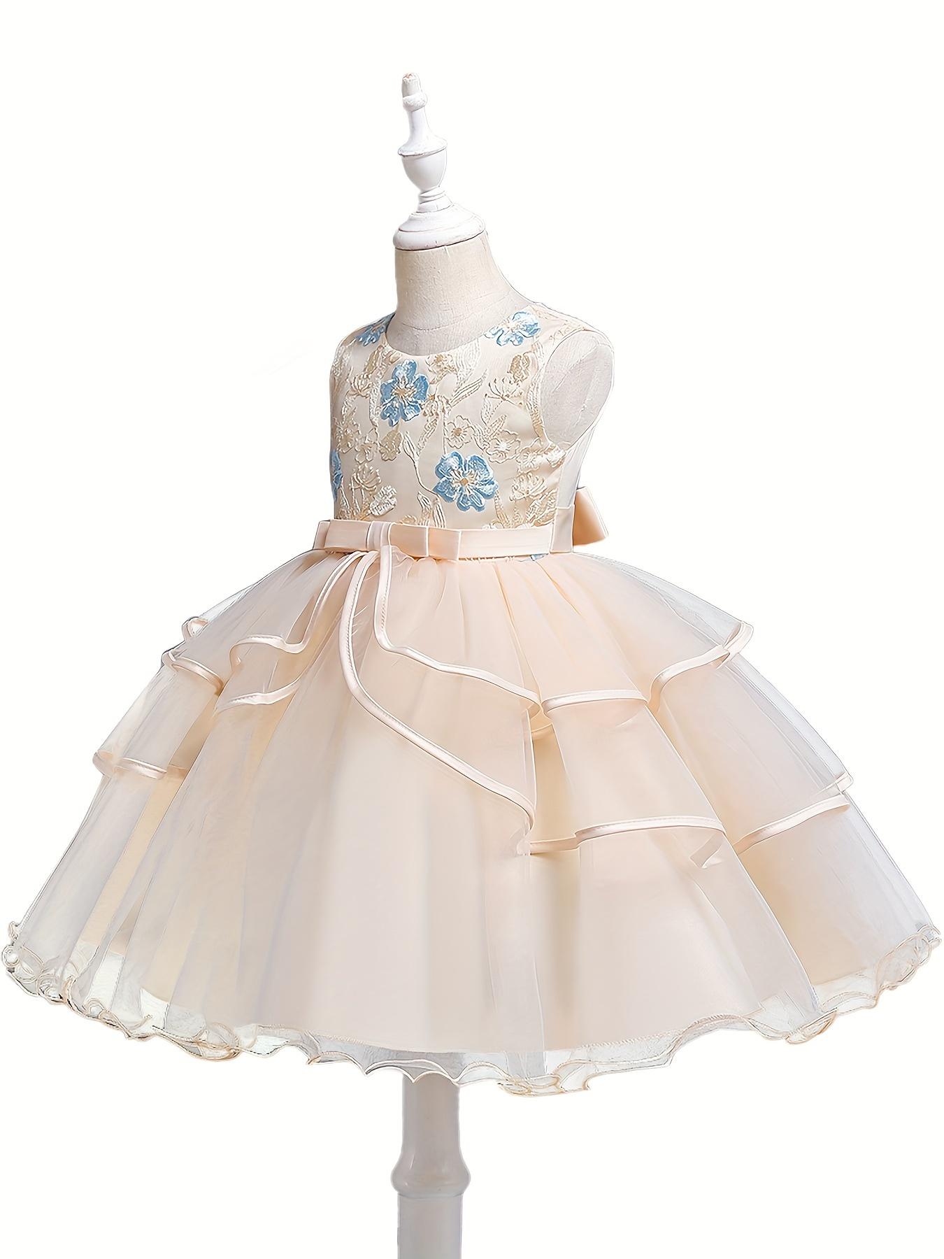 Formal Occasions Girls Mesh Embroidered Puffy A-line Princess Dress Birthday Evening Party Wedding Flower Girls Party Dress Gifts  Gifts