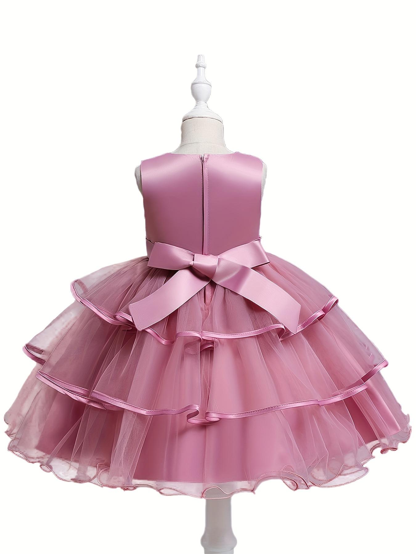 Formal Occasions Girls Mesh Embroidered Puffy A-line Princess Dress Birthday Evening Party Wedding Flower Girls Party Dress Gifts  Gifts