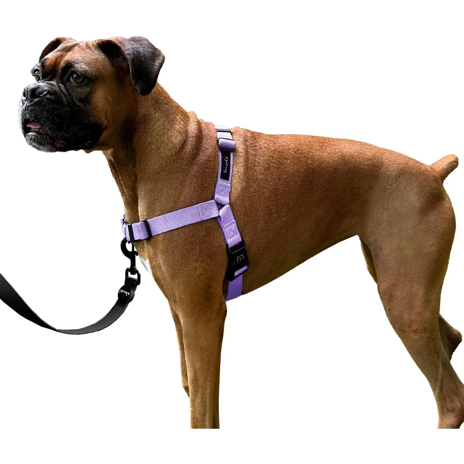 Dream Walk No-Pull Dog Harness- Adjustable, Comfortable, Easy to Use Pet Halter to Help Stop Pulling for Small, Medium and Large Dogs (ICY Lilac, S)