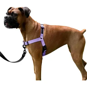 Dream Walk No-Pull Dog Harness- Adjustable, Comfortable, Easy to Use Pet Halter to Help Stop Pulling for Small, Medium and Large Dogs (ICY Lilac, S)