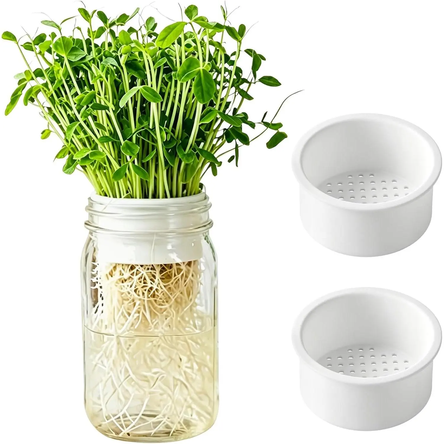 2-Pack Microgreens Growing Kit for Wide Mouth Mason Jars | Jars not Included | 2.87–3.11" inner diameter jars | All sprout seeds | Easy indoor hydroponics with water & light