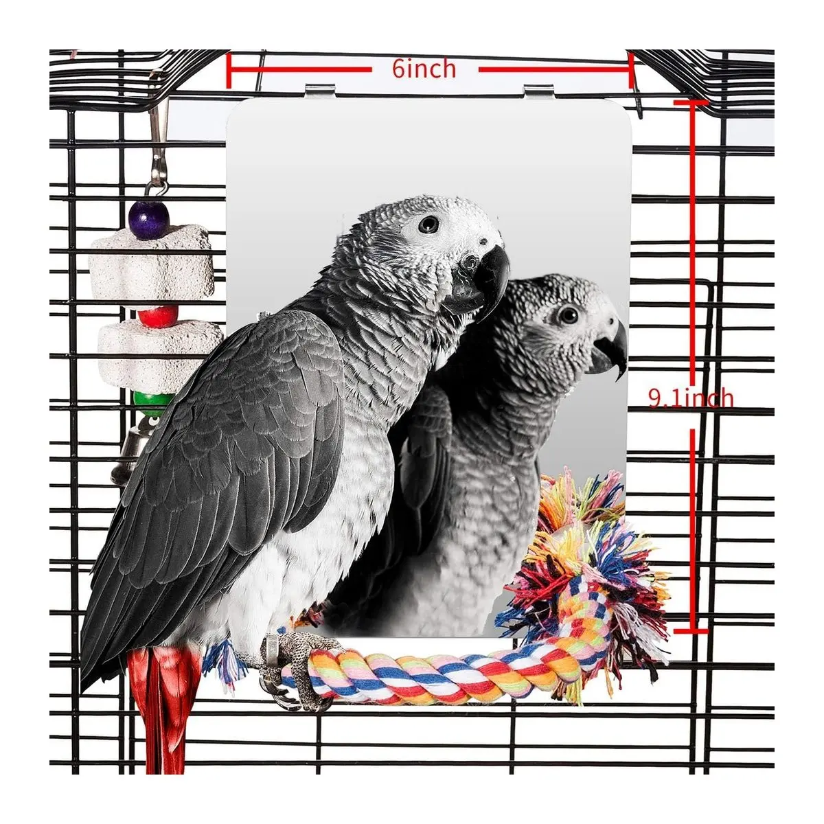 9 Inch Bird Mirror with Rope Perch and Swing for Parakeet, Budgie, African Grey, Conure, Cockatiel, Lovebird, Finch, Canary, Large Cage Accessory