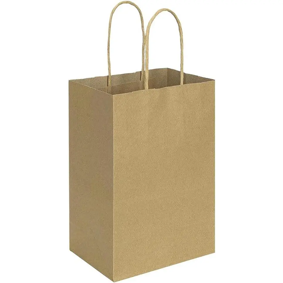 100 Pack 5.25x3.25x8 Inch Brown Small Paper Bags with Handles Bulk, Gift Paper Bags, Kraft Birthday Party Favors Grocery Retail Shopping Takeouts Business Craft sacks (Plain Natural 100pcs)