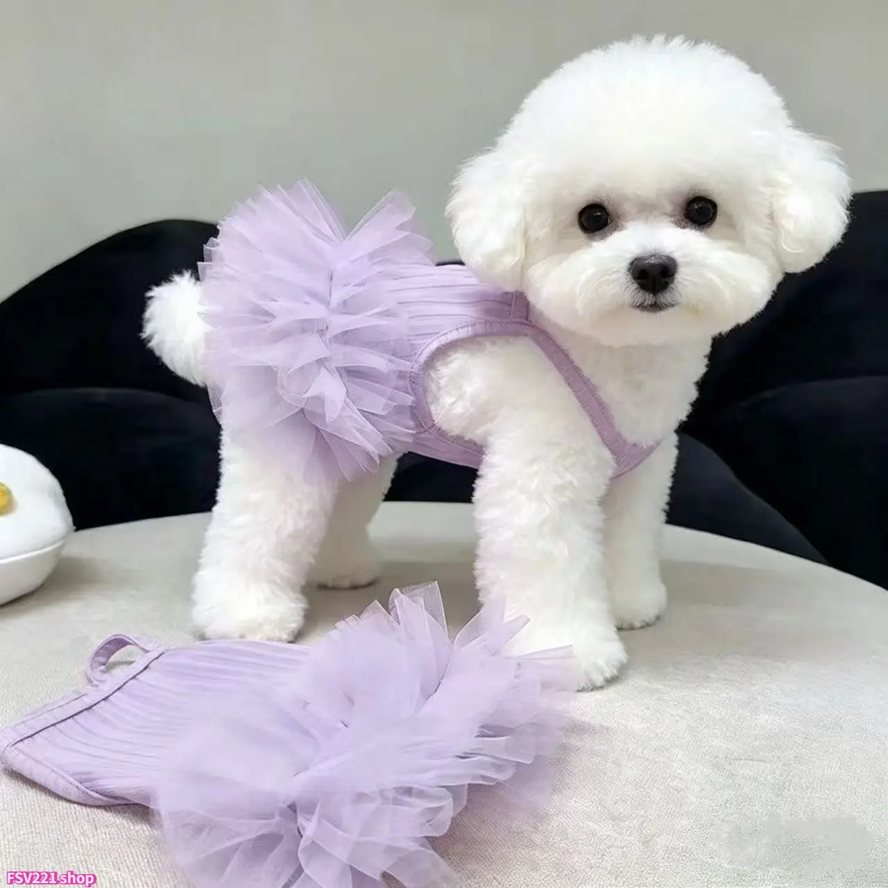 Extra Small Dog & Cat Fashion Tutu Sundress Harness - Breathable Fabric, Cute, Casual, Everyday Use for Daily Walks, Parties, Tutu Dress, Lightweight Pvc, Simple, One-Piece