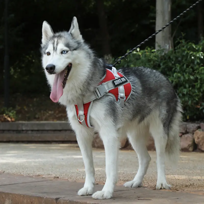 Universal Nylon Saddle-Style No-Pull Reflective Adjustable Chest Dog Harness for Medium & Large Dogs, Outdoor Walking Accessory, Halti Pull Harness Alternative, Gentle Leader Compatible, Flexi Leash Pairing Option