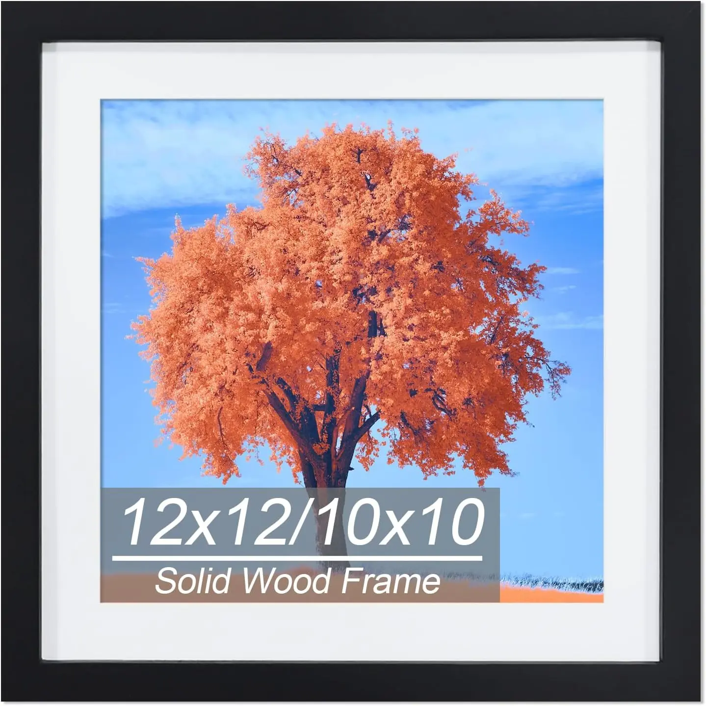 12x12 Picture Frame Black, Solid   Art Painting Frames 30x30cm, Display Pictures 10x10 with Mat or 12 x 12 Without Mat, 12x12 Frame for Photos Posters Prints Artworks Puzzles, Wall