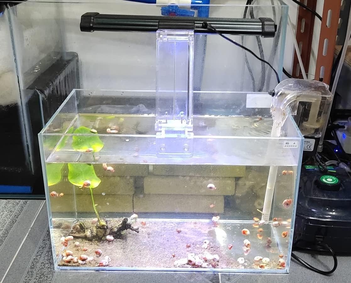 Small Nano Rimless Clear Glass Fish Tank 11 Gallon 7.8x5.5x5.9 Inch Betta Tank for Small Fish