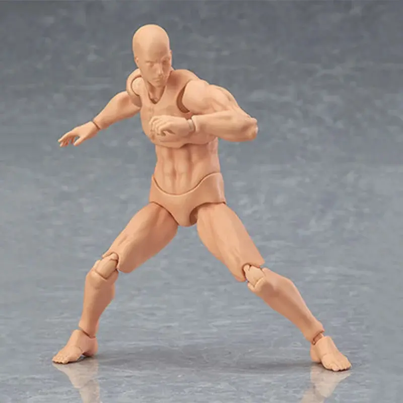 Male Female Body Figure Toy Movable Joints Drawing Mannequin Figure Models for Kids Scientific Cognitive Toys