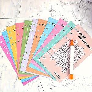 48 Sheets 100 Envelopes Money Saving Challenge Binder Trackers, 6 Ring A6 Binders Savings Challenge Trackers Cards for Budget Planner, Multiple Budget Sheets for Cash Stuffing