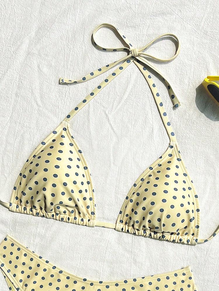2026 new polka dot bikini sexy split swimsuit women's beach hot spring swimsuit
