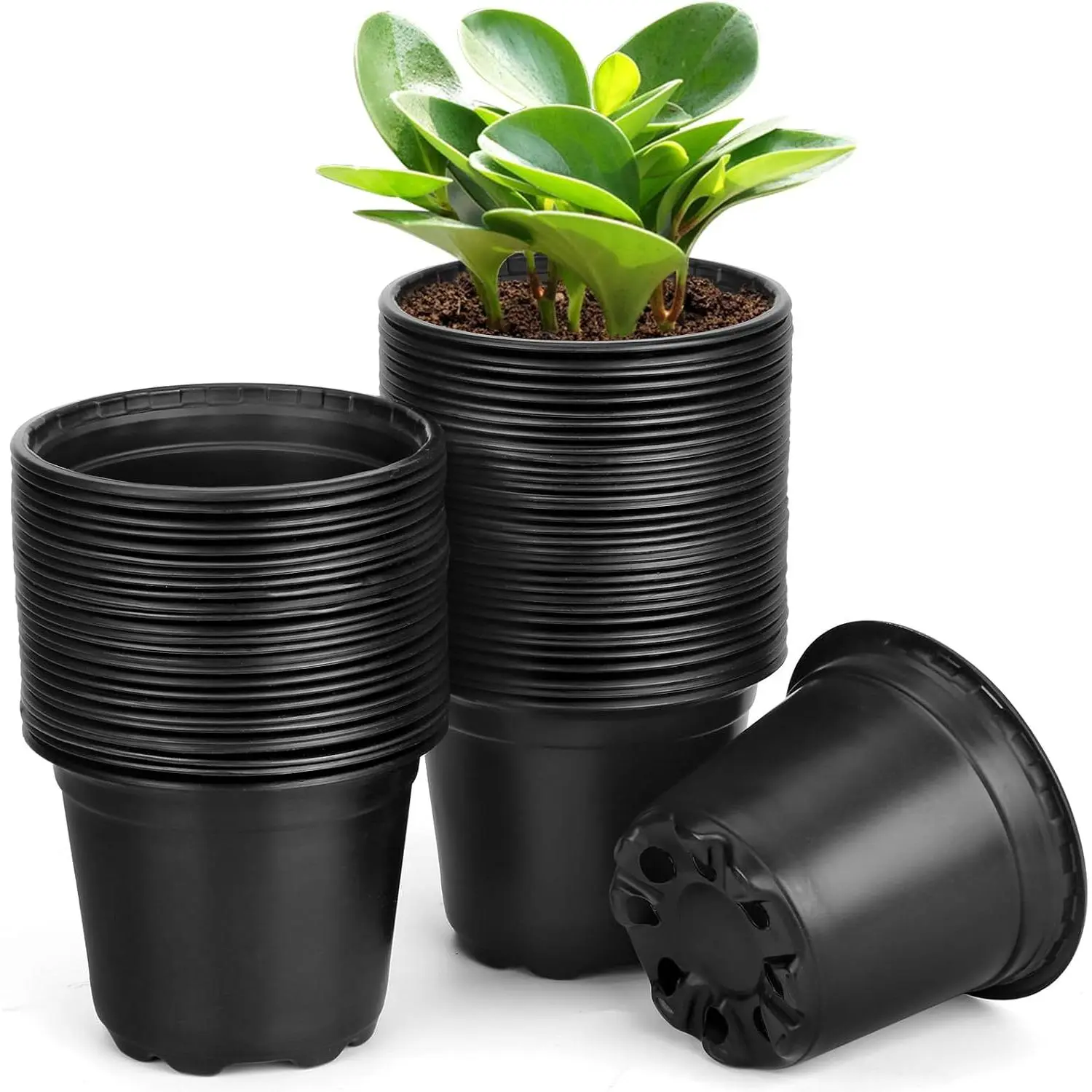 60 Pack 3 Inch  Pots for , Plastic Seeds Starter Pots with Drainage Holes, Small Plastic   Pots for  Seedling  Transplanting (60, 3 Inch)