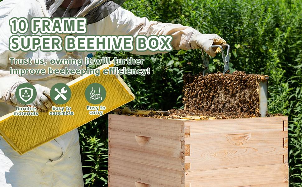 10 Frame Medium Beehive Box,Langstoth Honey Bee Hive Box, Include Beehive Frames and Waxed Foundations
