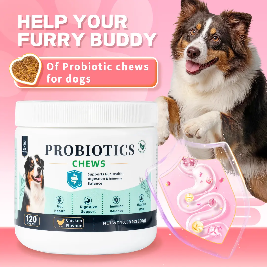 Probiotic Soft Chews for Dogs Chicken Flavor Digestive Health & Gut Flora Balance Daily Supplement for All Breeds