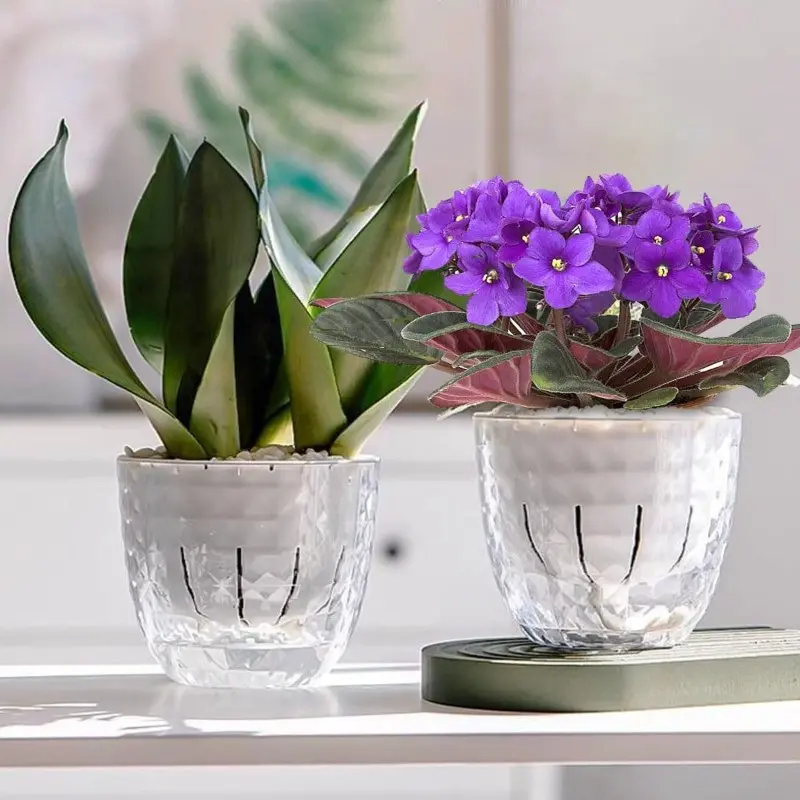 2-Pack Self-Watering Plant Pots, Modern Plastic Flower Pots, Transparent Hydroponic Pots with Absorbent Rope, Ideal for Succulents, Herbs, Cacti, Orchids
