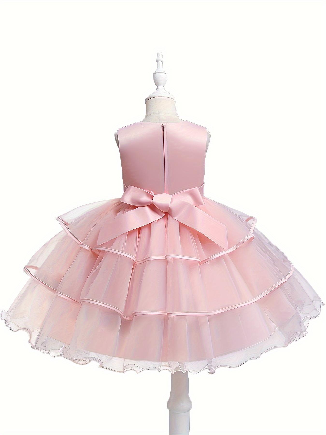 Formal Occasions Girls Mesh Embroidered Puffy A-line Princess Dress Birthday Evening Party Wedding Flower Girls Party Dress Gifts  Gifts