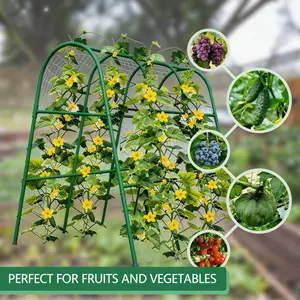 Garvee Green Metal Garden Arch Trellis for Raised Beds – Rust-Resistant Vertical Support for Cucumbers, Melons, Grapes, Roses & Climbing Veggies – Easy Assembly – Multiple Sizes Available