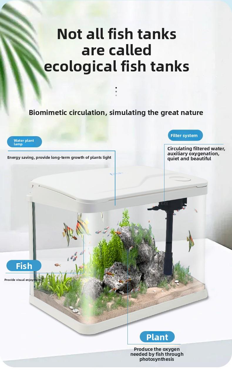 Hot Bending Ultra Clear Glass Fish Tank Self-Circulating Eco Aquarium Small Desktop For Living Room Home Decor Smart with LED Light and Filter Deshedding Brush Pets Dragon Stone Decoration
