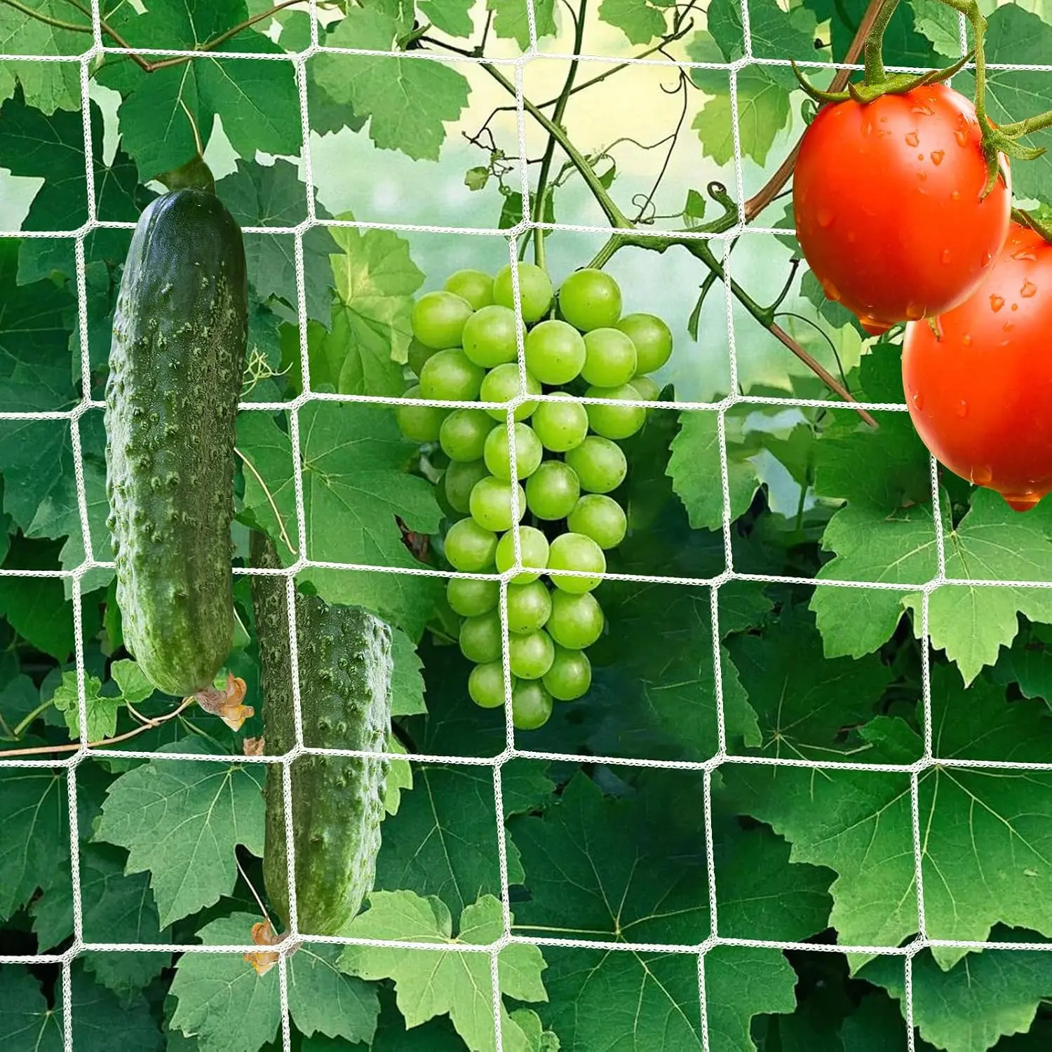 5X 60 Ft Nylon Trellis Netting, 6×6 Heavy Duty Trellis Mesh Garden Netting for Climbing Plants, Use for Tomatoes, Cucumbers, Peas, Grape Racks
