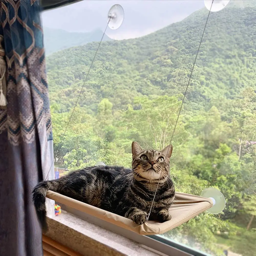 Cat Window Perch,Cat Hammock Window Seat Bed Space Saving Design 360 °   Sunbath Holds Up to 50lbs Any Cats Size