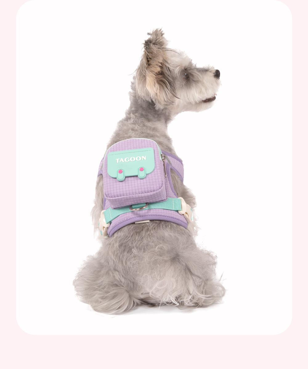 Pet Backpack & Leash Combo: Anti-Escape Harness and Leash for Outdoor Walks - Convenient, Portable Pet Carrier