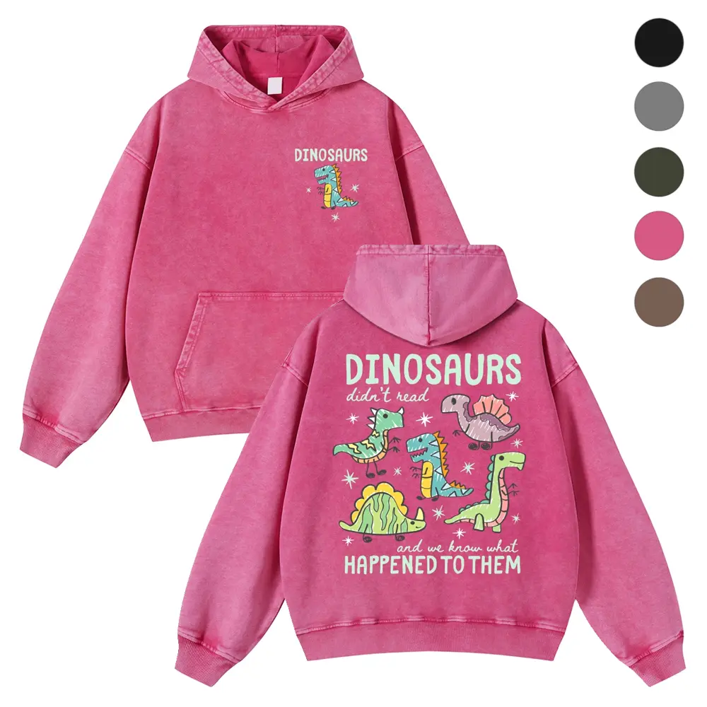 Dinosaurs Didn’t Read Hoodie, Funny Dino Teacher Top, Book Lover Hoodie 380g Autumn VIntage Washed Hoodie Graphic Sweatshirt Fit Casual