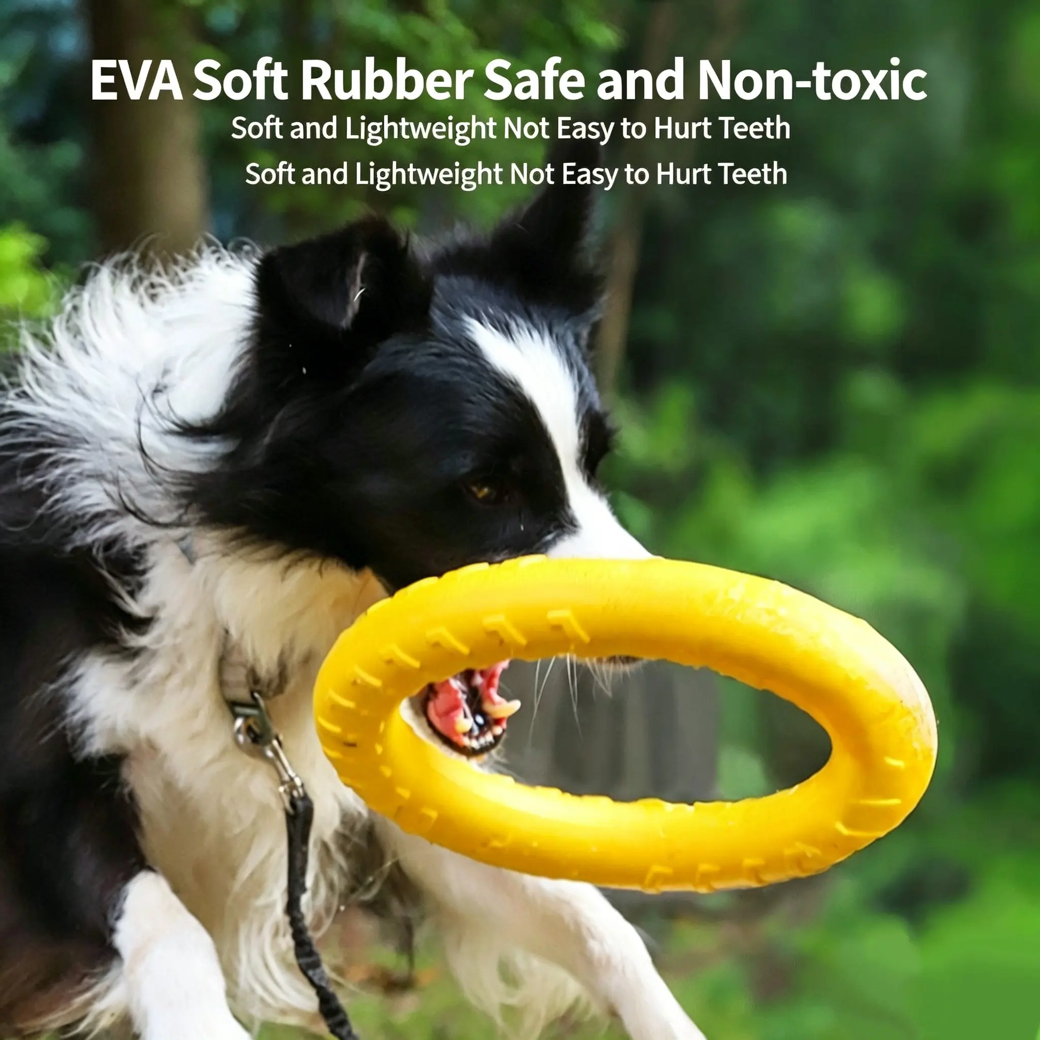 Durable Dog, Interactive Dog Toy, Fetch Game for Dogs, Outdoor Play, Gift Idea for Dogs, Fun and Engaging Pet Accessory