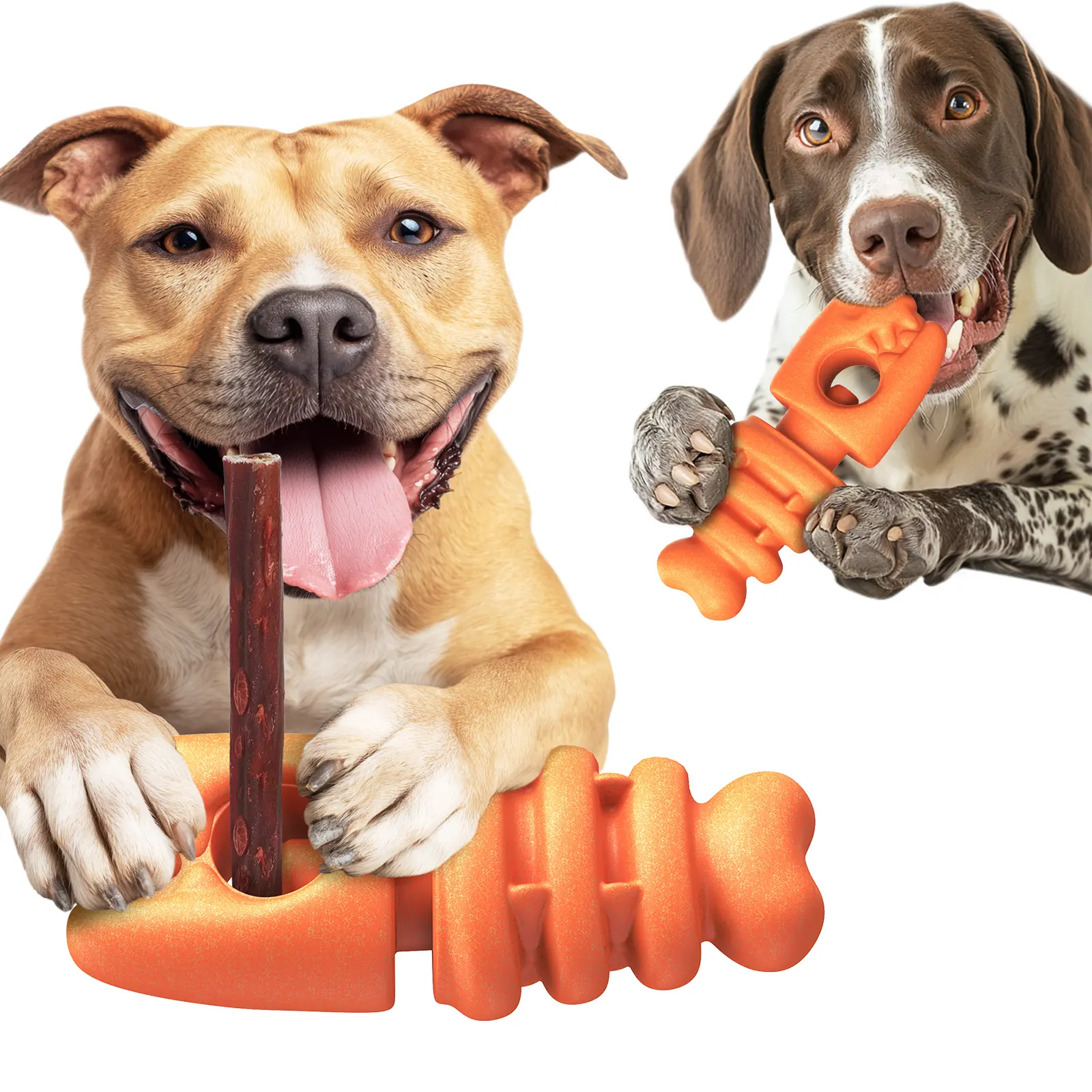 Dudpud 2-in-1 Durable Fish Bone Bully Stick Holder & Dog Chew Toy