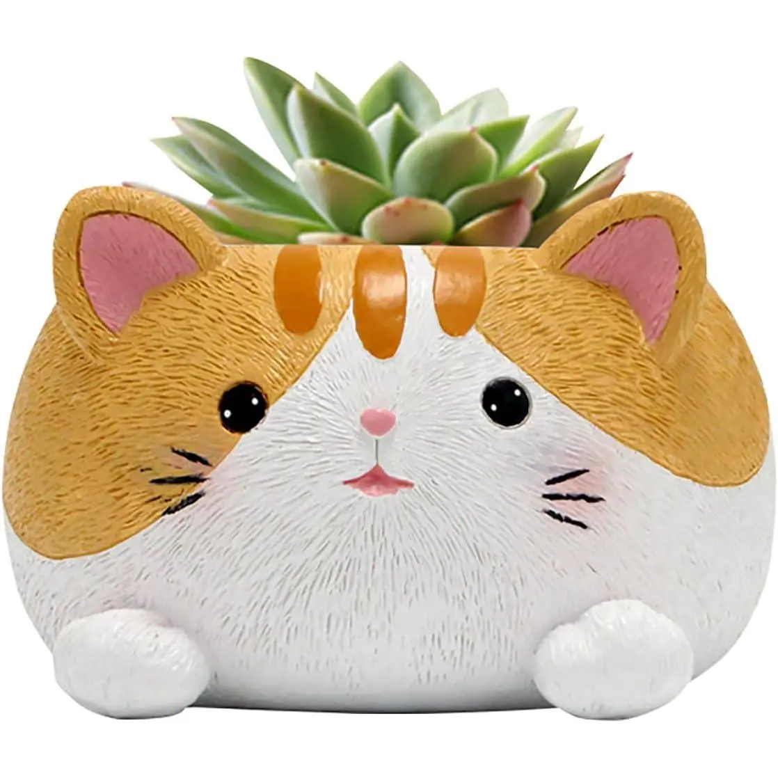 Cute Small Succulent Pots with Drainage, 10 cm Cactus Pots Cute  Flower Pot  Small Planters for , Cute Planter  Planter Flower Pot for Flower Cactus Garden  Office