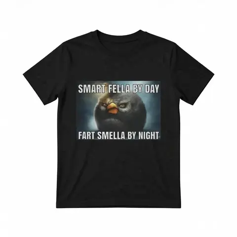 Men's Crew Neck Cotton Graphic Tee - Unisex "Smart Fella By Day Fart Smella By Night" Funny Meme Shirt, Casual Comfortable Streetwear Top, Humorous Adult Gift