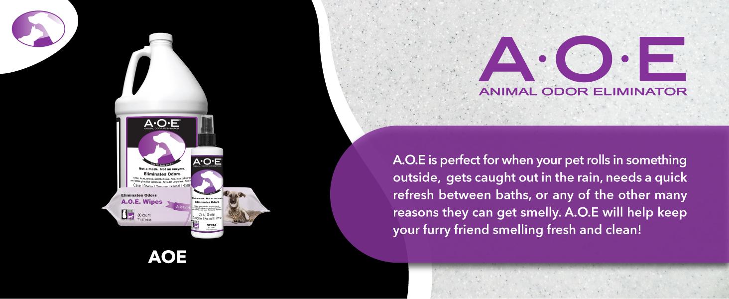 AGS Thornell KOE Kennel Odor Eliminator Concentrate, Odor Eliminator for Strong Odors, Great for Cages, Runs, Floors & More, Pet Odor Eliminator for Home & Kennel w/Safe, Non-Enzymatic Formula, 128 oz