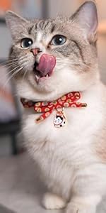 PetSoKoo Cute Bowtie Cat Collar with Bell. Japanese Stylish Bowknot & Fish Charm. Safety Breakaway, Soft, Lightweight, for Girl Boy Male Female Cats Kitten,Green