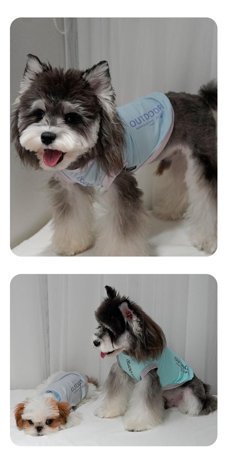 Cooling Summer Dog Shirt for Small Breeds – 2-Leg Design, Breathable Colorblock Tee for Bichon, Schnauzer, Puppies, Wholesale