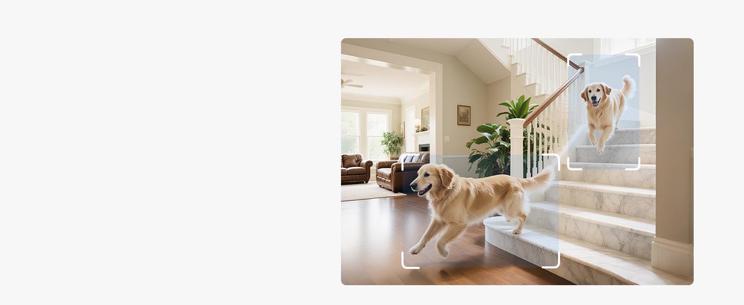 ZOSI 4K Indoor Security Camera C518 Pan/Tilt Pet/Dog/Nanny Plug-in Wifi Camera with Auto Tracking AI Detection 360° View Night Vision 2-Way Audio 5GHz/2.4GHz WiFi 64G Memory Card Included Button Installation