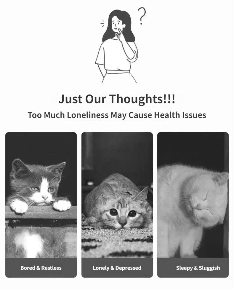 Multi-Function Cat Teaser Wand With Laser & Feather, Rechargeable Interactive Cat Toy With 5 Laser Patterns, Detachable Feather With Bell, Type-C Charging Wand For Indoor Cats, Daily Enrichment Play For Kittens & Adult Cats