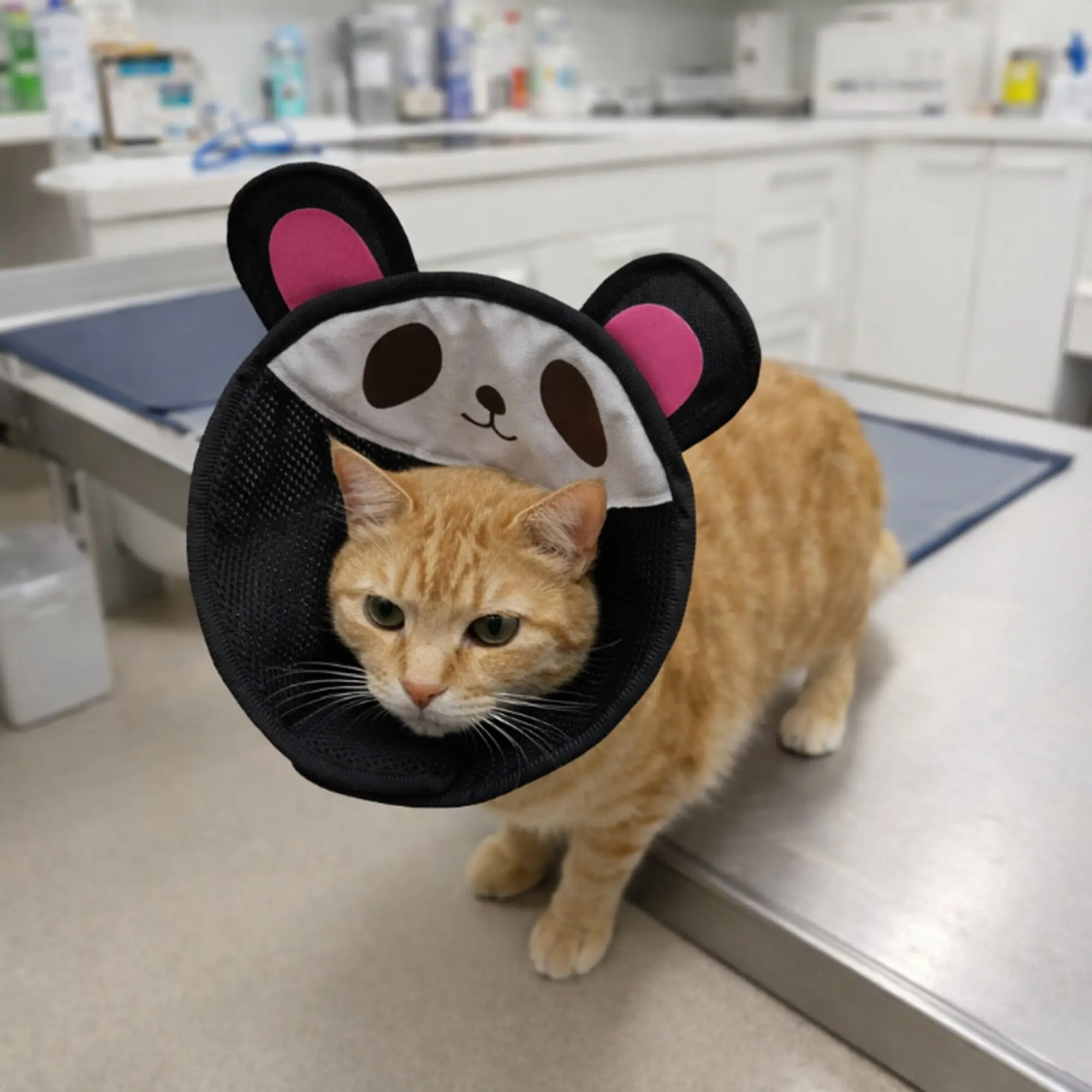 New Pet Protective Cover, Cat Collar Guard, Pet Grooming Hood, Bite-Proof Collar, Lick-Prevention Harness, Essential Pet Accessories, Supplies